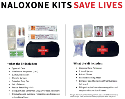 Naloxone Kits - Sold per Case